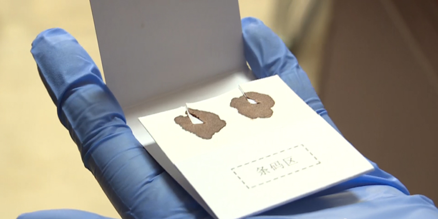 重庆哪里做匿名亲子鉴定,重庆隐私亲子鉴定费用是多少