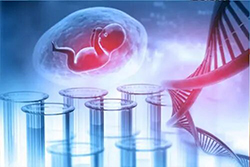 湖南怀孕亲子鉴定中心哪里有