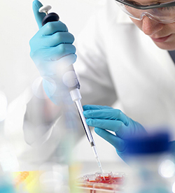 四川哪里能办理隐私DNA亲子鉴定,四川隐私亲子鉴定如何收费